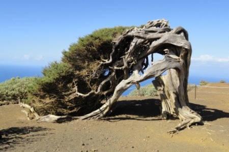 فالفيردي Casa Rural Amasin المظهر الخارجي الصورة